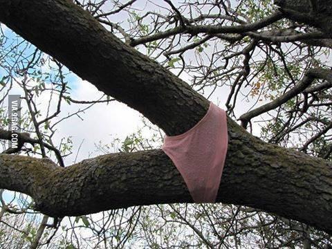 I just got horny. 