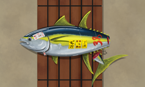 Yellowfin Tuna being sold in a Tsukiji fish market inspired setting. This, this is my most advanced 