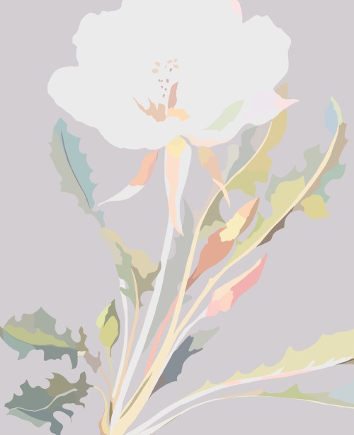 Pale botanical I by dansedelune
https://www.redbubble.com/i/art-print/Pale-botanical-by-dansedelune/60516771.1G4ZT