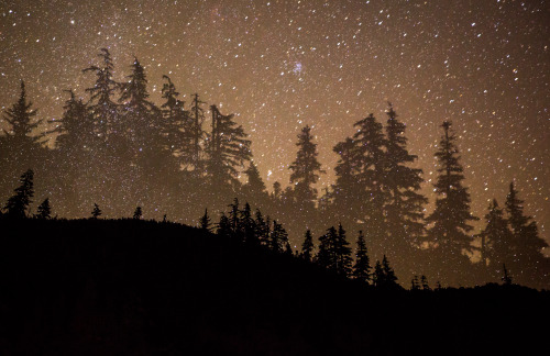 traverse-our-universe: Near and Far | Gerald Oskoboiny on Flickr  This is a single 48-sec expos