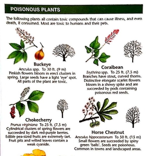 So here&rsquo;s a some more #information from &ldquo;A Pocket Naturalist® Guide&rdqu
