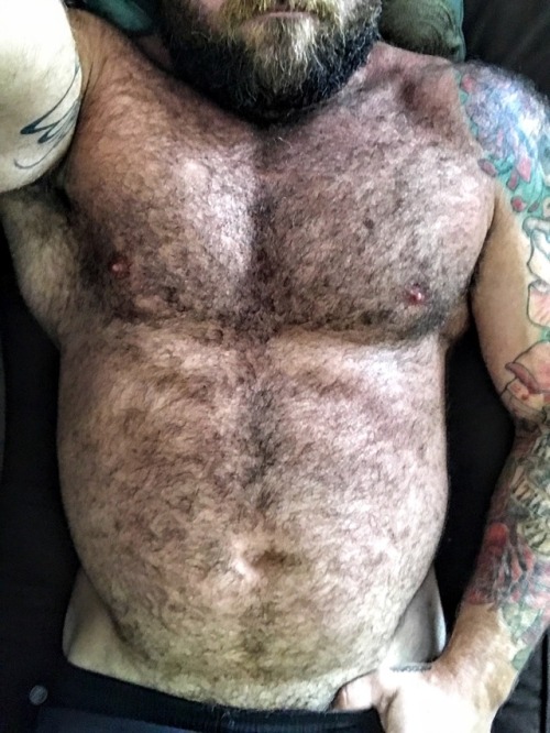 bubbabear-and-daddycubby: Bubba Bear Belly