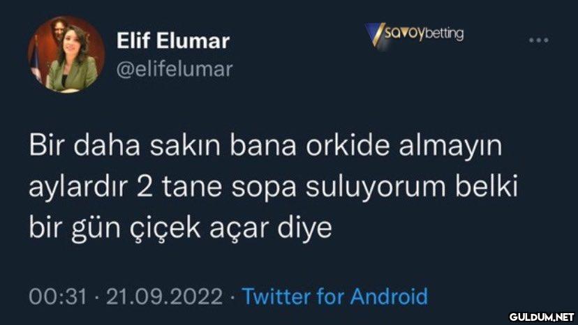 Elif Elumar @elifelumar...