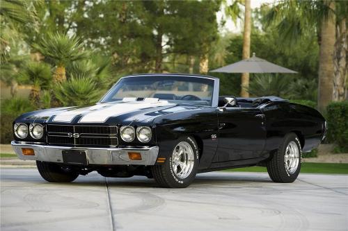 Muscle Cars Fans