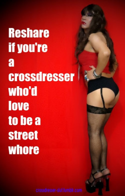 kassandrafl:  YOU ALL DO, ADMIT IT SISSY FAGS! 