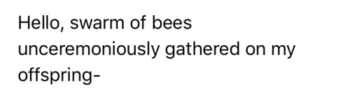 sabertoothwalrus:  maestrokitty:  disposablebicycle:  disposablebicycle:  disposablebicycle:  disposablebicycle:   disposablebicycle:   disposablebicycle:   Freelancing in technical theater means you’re on a lot of different email lists. People need