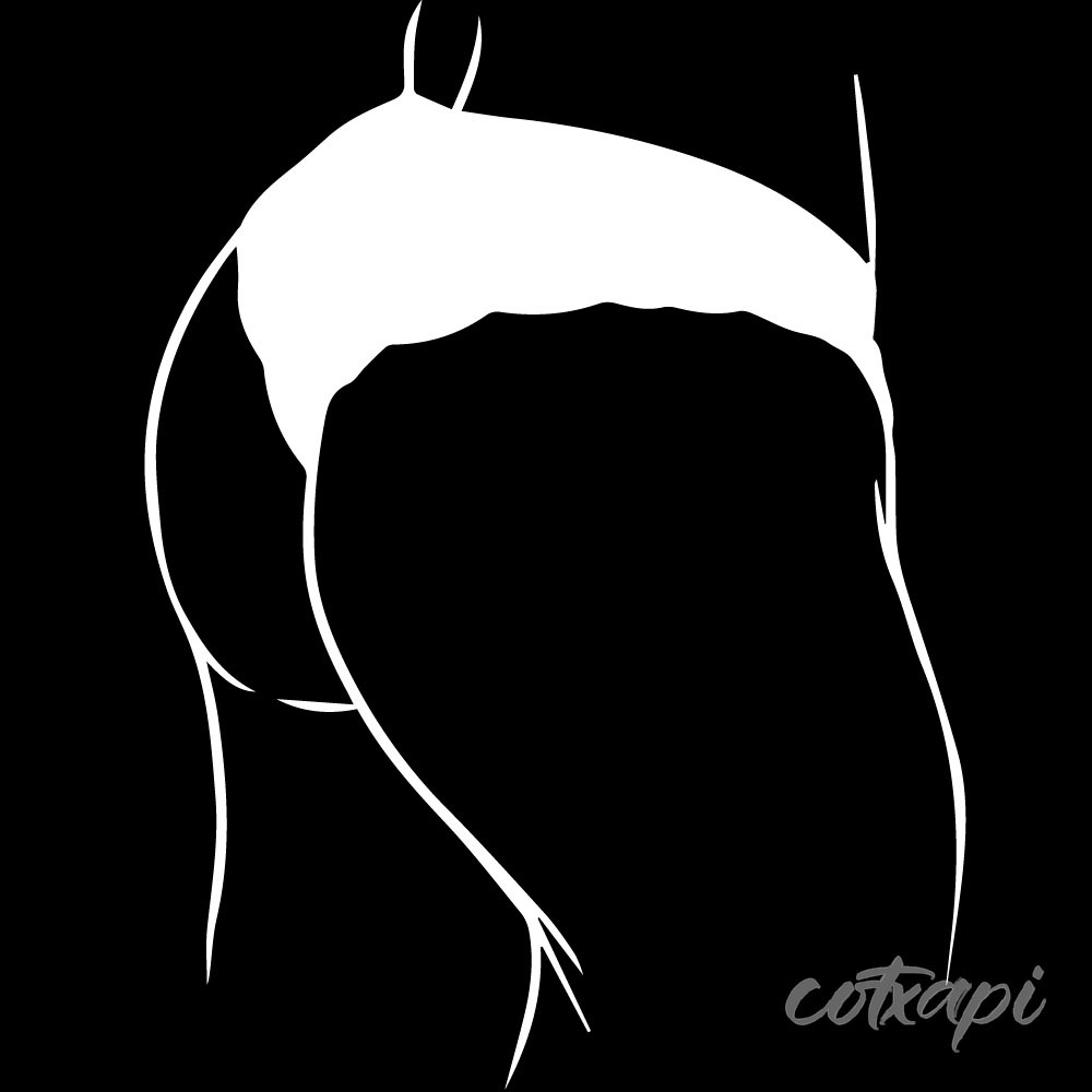 Ladies Bra Design Bikini outline Panty Underwear style in vector art