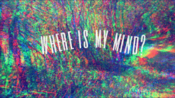 psychedelic-pornography:  Where?