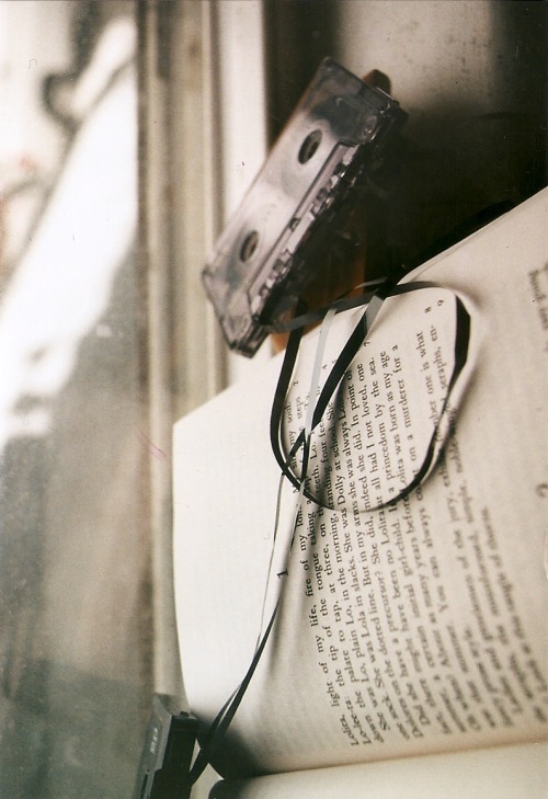 calms:  nature/vintage/photography blog    