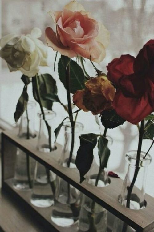 bursten:  vintage/nature/vertical ♡ 