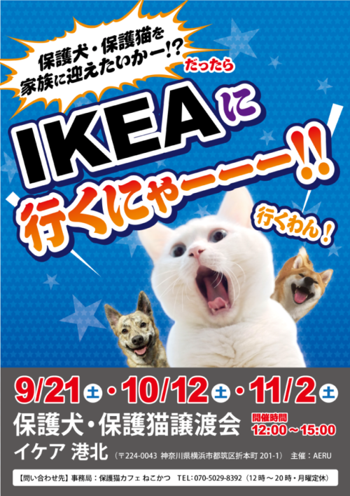 with-cats: １２日（土）IKEA港北譲渡会中止のお知らせ【保護猫カフェ『ねこかつ』＠川越@大宮日進】｜猫まみれ