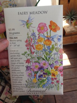 centifolias:   My favourite seed packs!!!