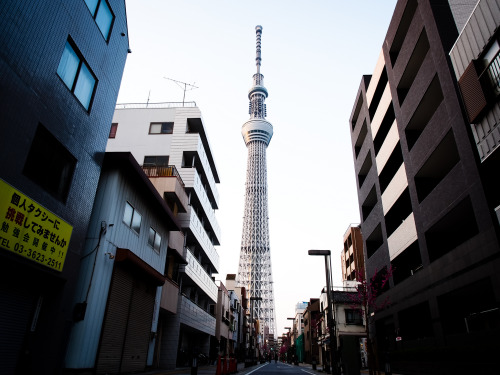 ourbedtimedreams:Stroll around KiyosumiShirakawa TokyoSkyTree by A Shino