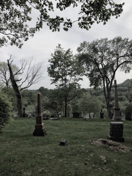 ghostreveries:Cimetière Mont-Royal