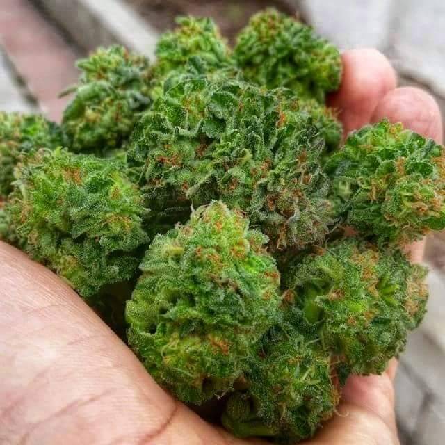 Yummy