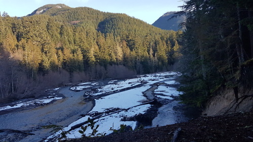 Had a great hike over the weekend near Skookum Falls.  The sun was shinning and there was still