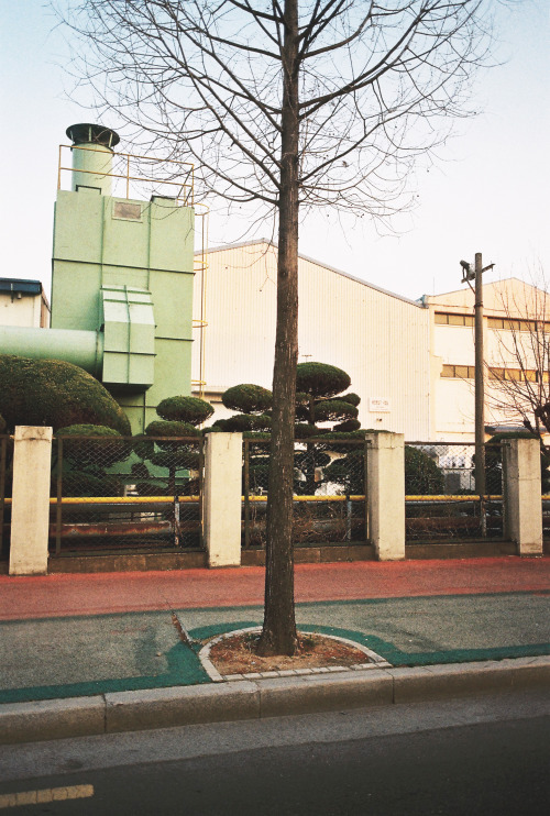 Somewhere in Changwon. South Korea. 2015