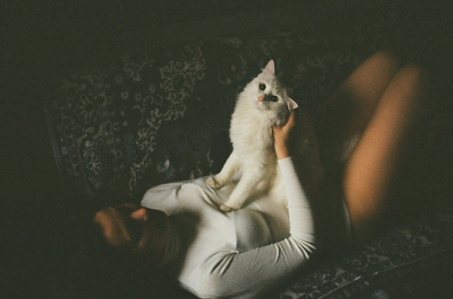 cuprikorn:  untitled by NPenguin on Flickr.