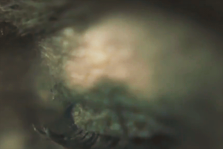 iamslaveandiamamaster:  Reign’s opening scene - Season 2 (The Lumineers - Scotland)