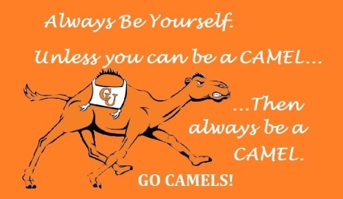 Via Campbell Cheerleading (@CUCheerleading1)