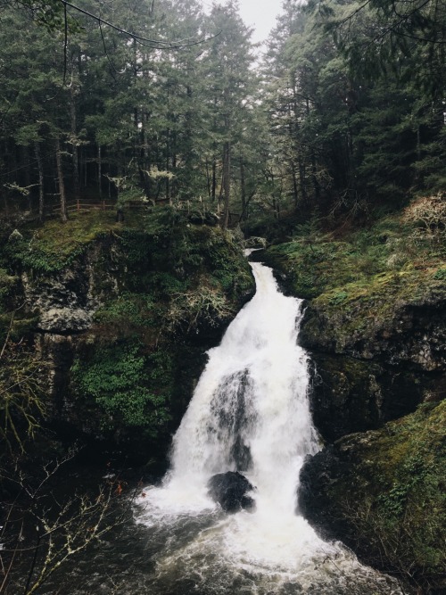 tuaari: waterfall… thursday?