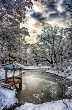 crescentmoon06:  Biwon Snowy Morning, Seoul