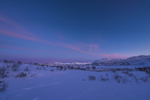 Cold morning by Viggo Johansen