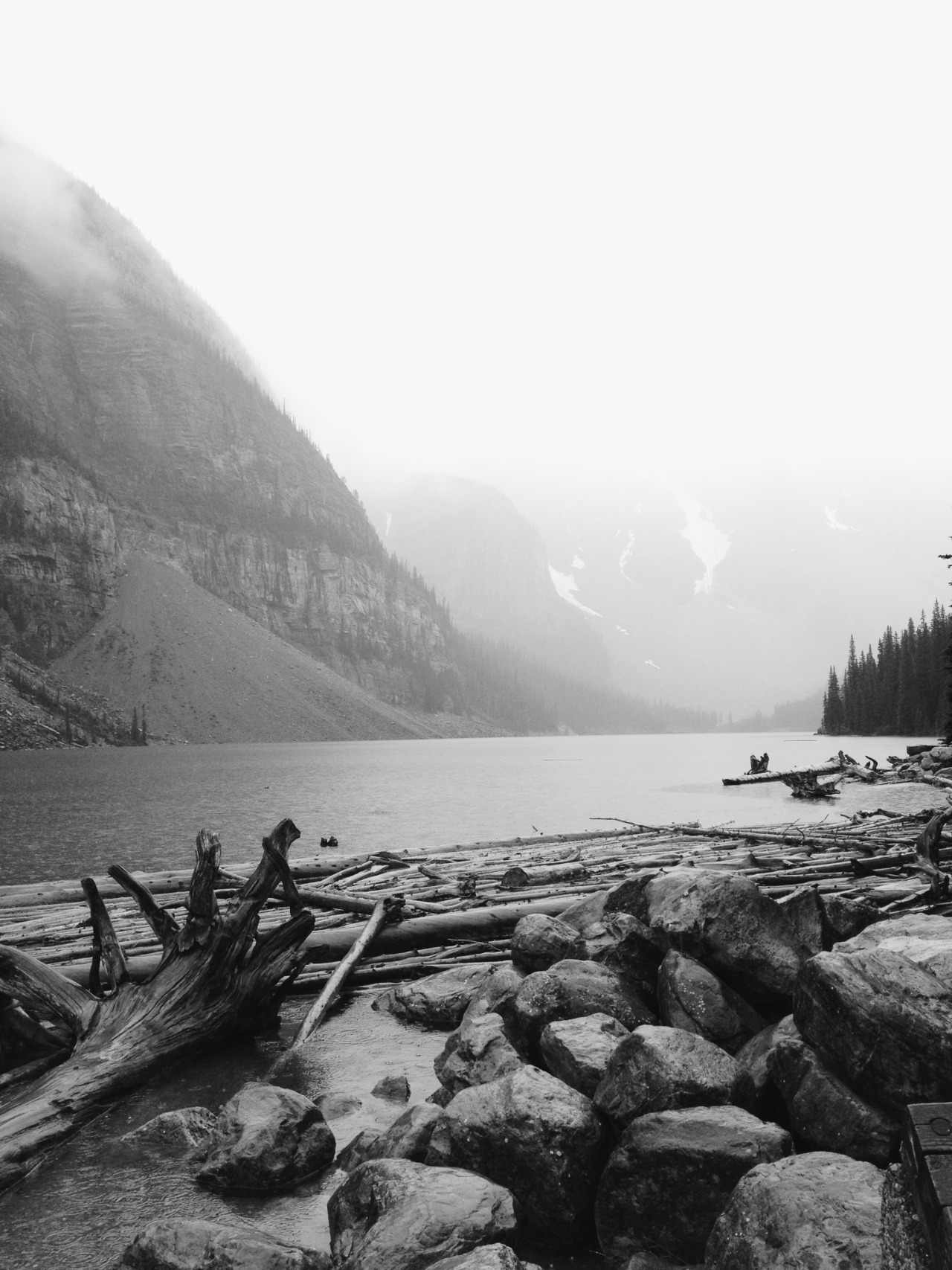 danielodowd:  http://firsttt.vsco.co/
