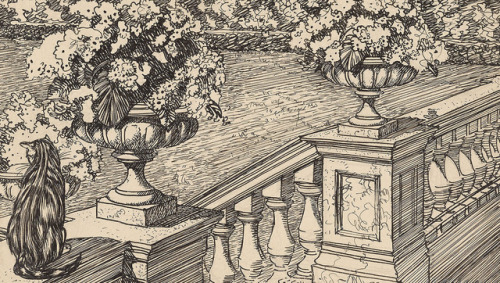 Edmund J. Sullivan - Outdoor Balustrade with Cat and Planted Vases - 1899 - via The Morgan