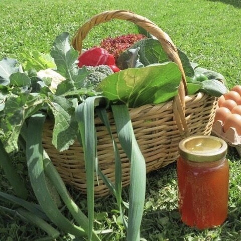 fruitie:        