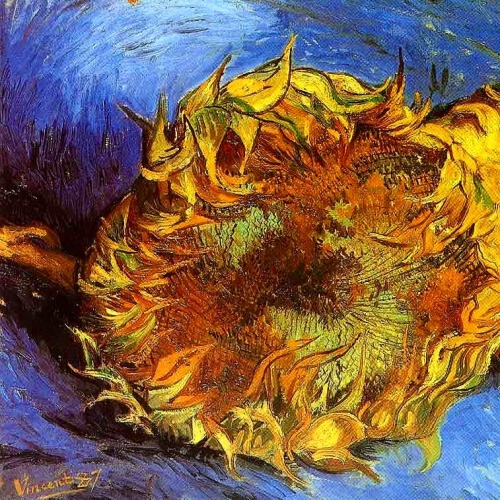 plantskid:there is no blue without yellow and without orange. (vincent van gogh)