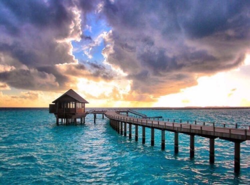 awesomeearthpix:Iru Fushi Island, Noonu Atoll, Maldives | Photography by ©Juan González 