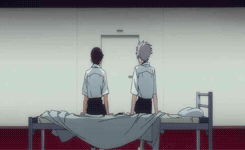 color-division:  Parallels (just happy moments) 