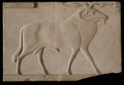 egypt-museum:Plaque Depicting a RamThe two sets of horns on this exemplary portrayal of a ram reflec