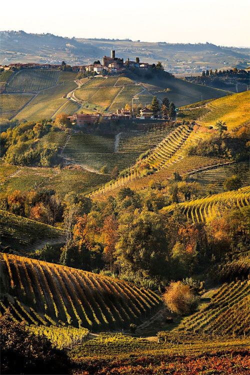 painting-a-picture: italyphotos:“Sunset at Serralunga d’Alba in the Langhe, land of&hell