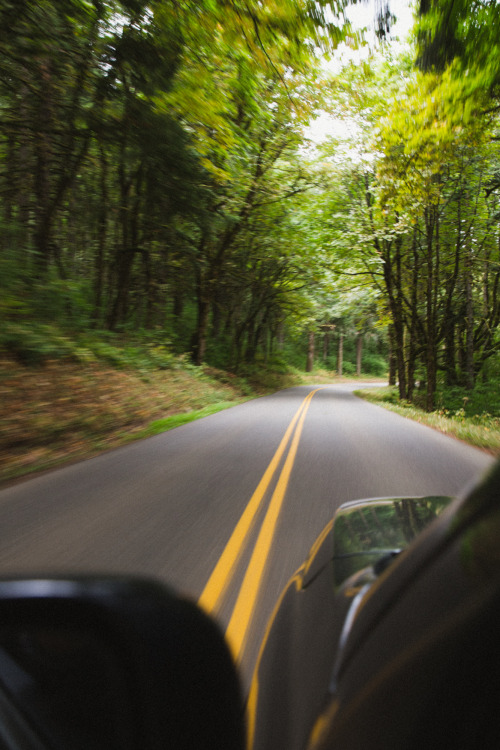 PNW Drives // Instagram / Website