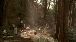 cinemaphiles:  “A surprising number of human beings are without purpose, though it is probable that they are performing some function unknown to themselves.”Picnic at Hanging Rock (1975) dir. Peter Weir
