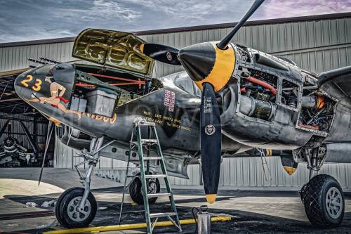 the falconeer all warbirds the falconeer all warbirds