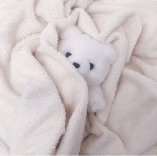 1st Sleepover With Jungwon As Your Boyfriend
