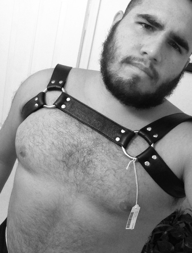 rone9:  poundyouorme:  kabutocub:  mrrobotico:  New harness. Thanks sale.  HO.LY.FUCK