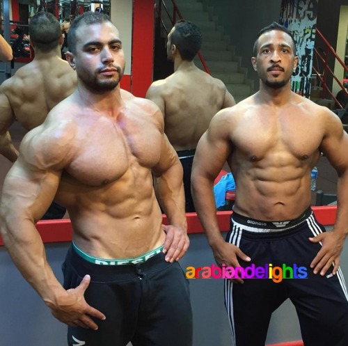 MOHAMMAD - EGYPTSuper macho men from all over Middle East &amp; Northern Africa. Exclusively on 