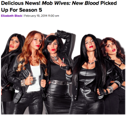 mob-wives:  GREAT NEWS! MOB WIVES WILL BE