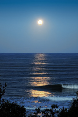 brutalgeneration:  supermoon by fruengalli