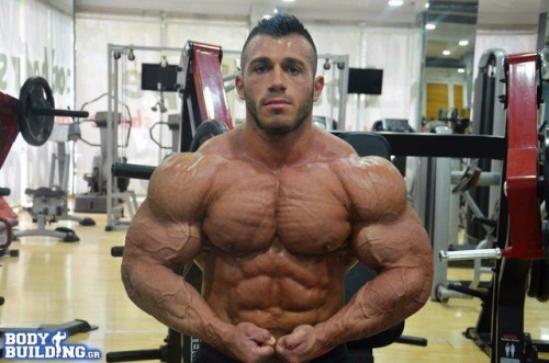 ZachMuscle
