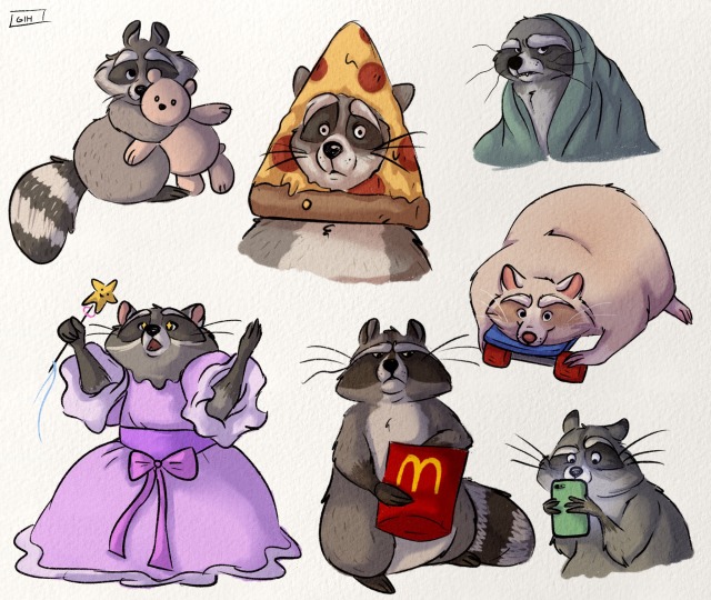 Sex gihdrawz:Raccoons! pictures