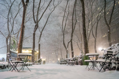 Winter: Bryant Park in the Snow - New York City