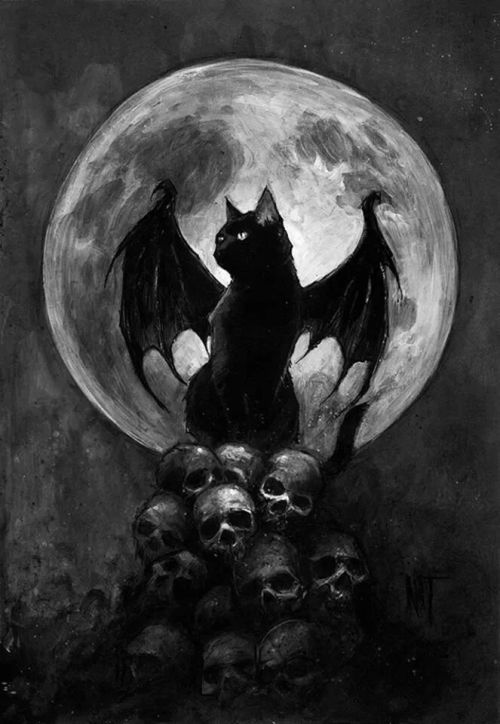 arismath:  King of the night. 