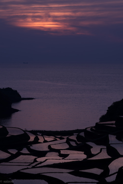 浜野浦の棚田・夕景