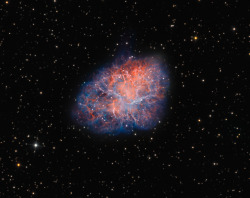 kawaiideshooo:just—space:  M1: The Crab Nebula : The Crab Nebula is cataloged as M1, the first object on Charles Messiers famous 18th century list of things which are not comets. In fact, the Crab is now known to be a supernova remnant, debris from