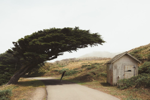 Julia Wengenroth (German, based Krefeld, Germany) - Windblown, 2015  Photography